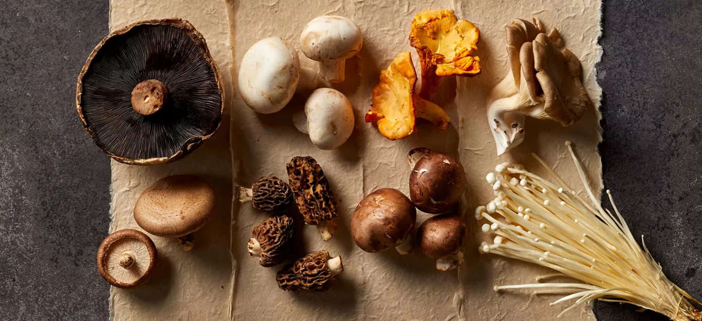 A selection of foragaed mushrooms